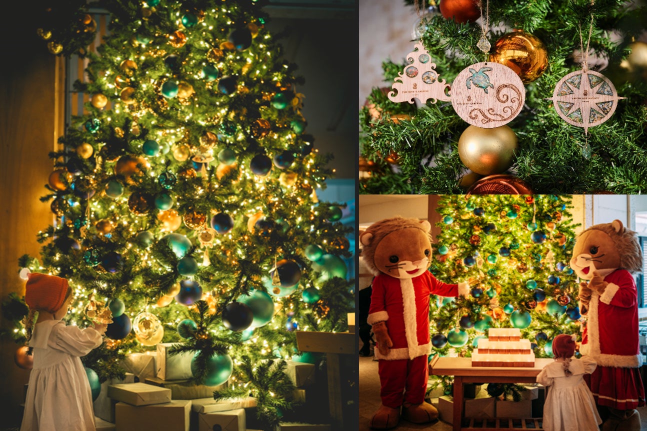 街歩きコンテンツアプリ「膝栗毛」2025年11月8日(土)に神奈川県大磯町で開催される「大磯まつり」で一日限定スタンプラリーを実施