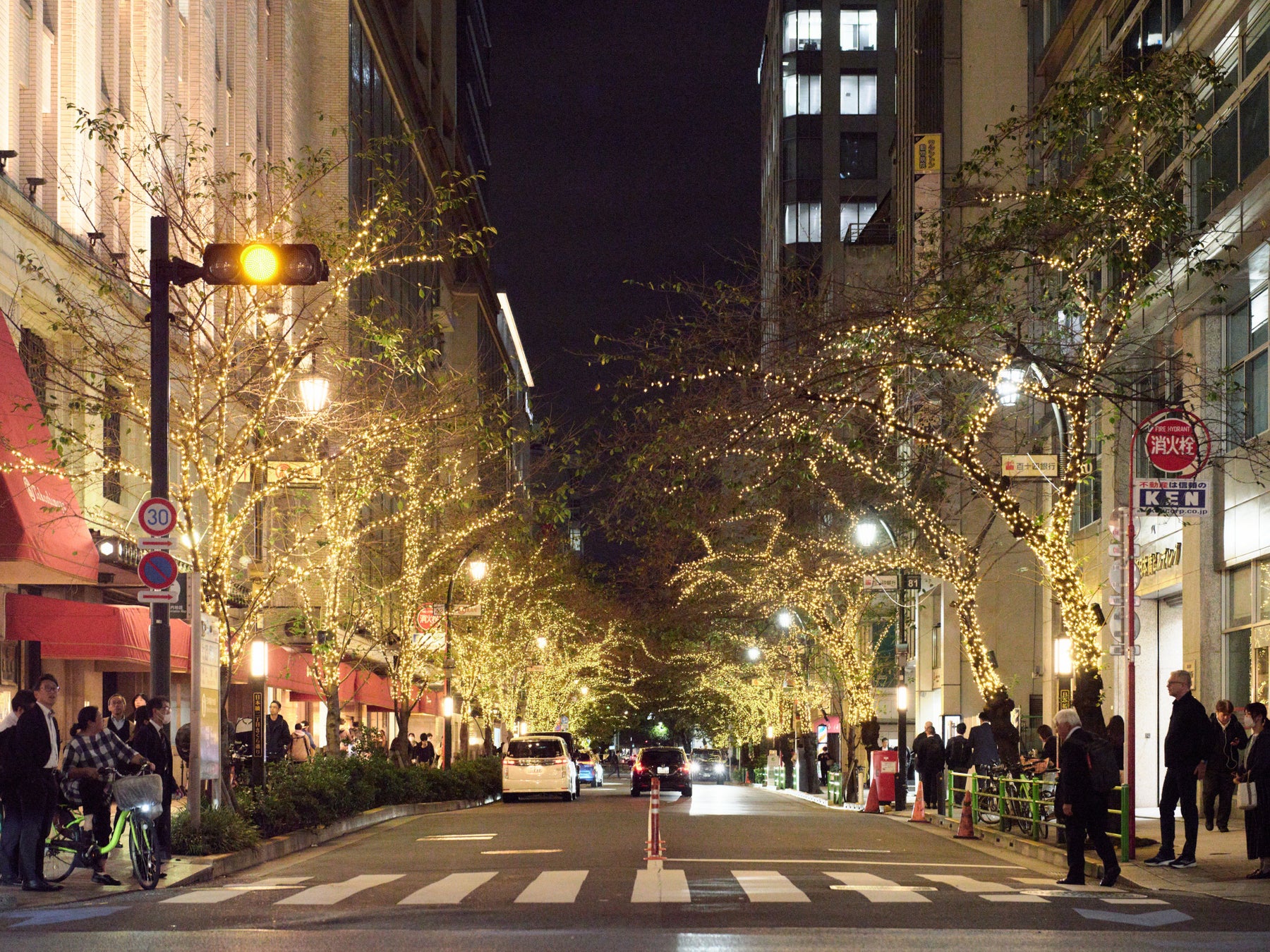 八重洲・日本橋エリアを美しく灯すイルミネーション「TOKYO ILLUMILIA 2025-2026」11月6日から開催