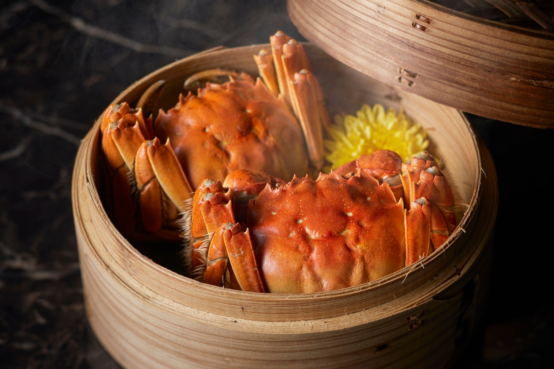 冬の沖縄で輝きに包まれる「イルミネーションビアガーデン」開幕