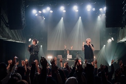 東京港夜景観賞ツアー募集