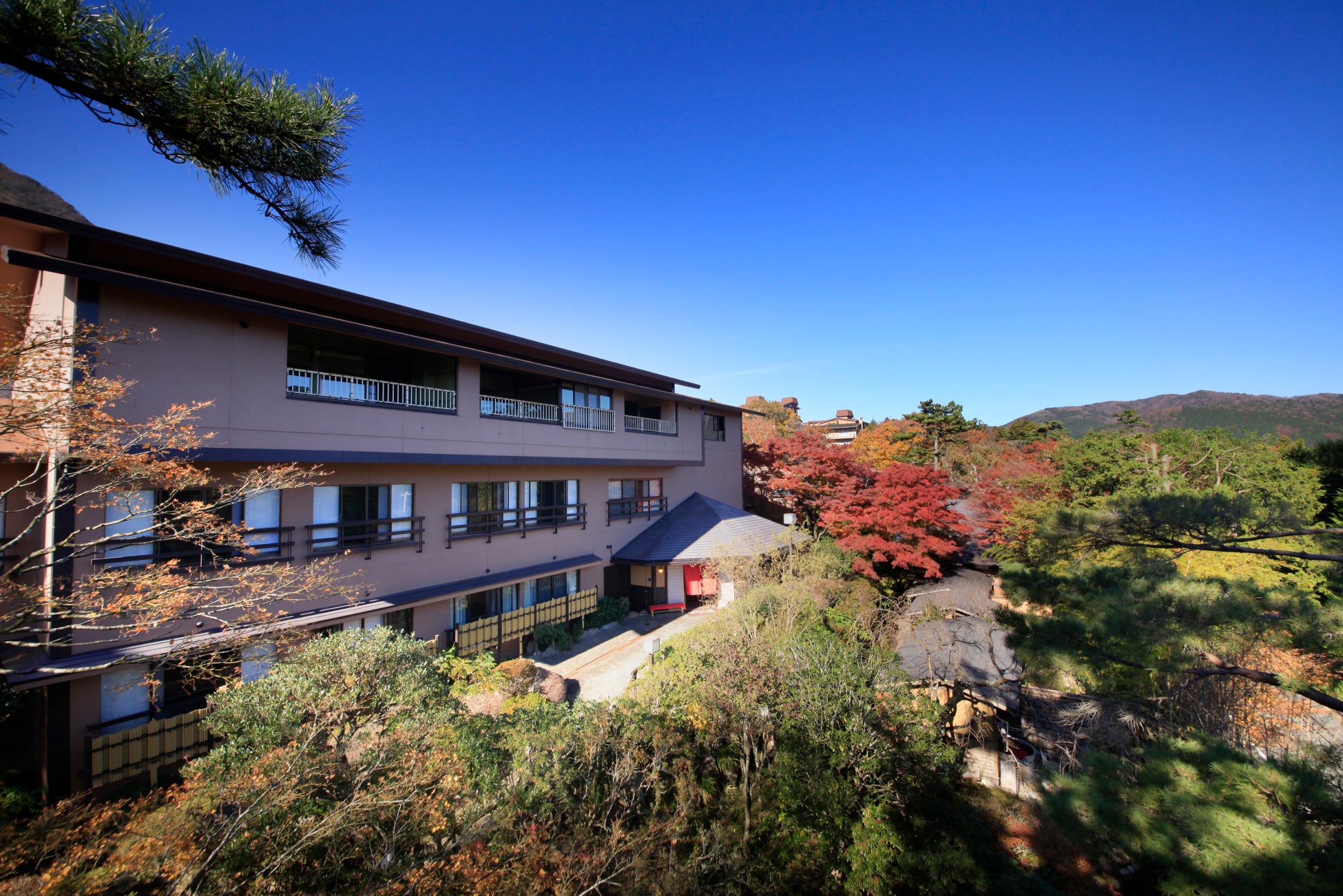 FDA 名古屋(小牧)空港就航15周年を記念してコモの新商品をご提供します