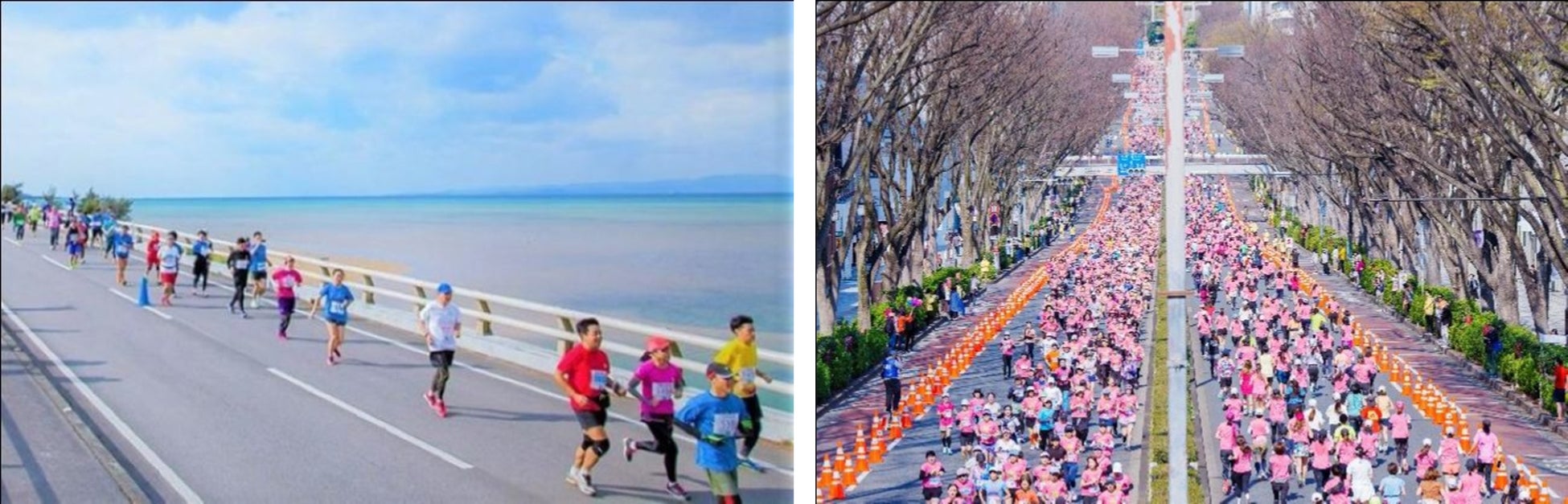 ヒルトン大阪 2025年クリスマスケーキ　11/16(日)からご予約を開始