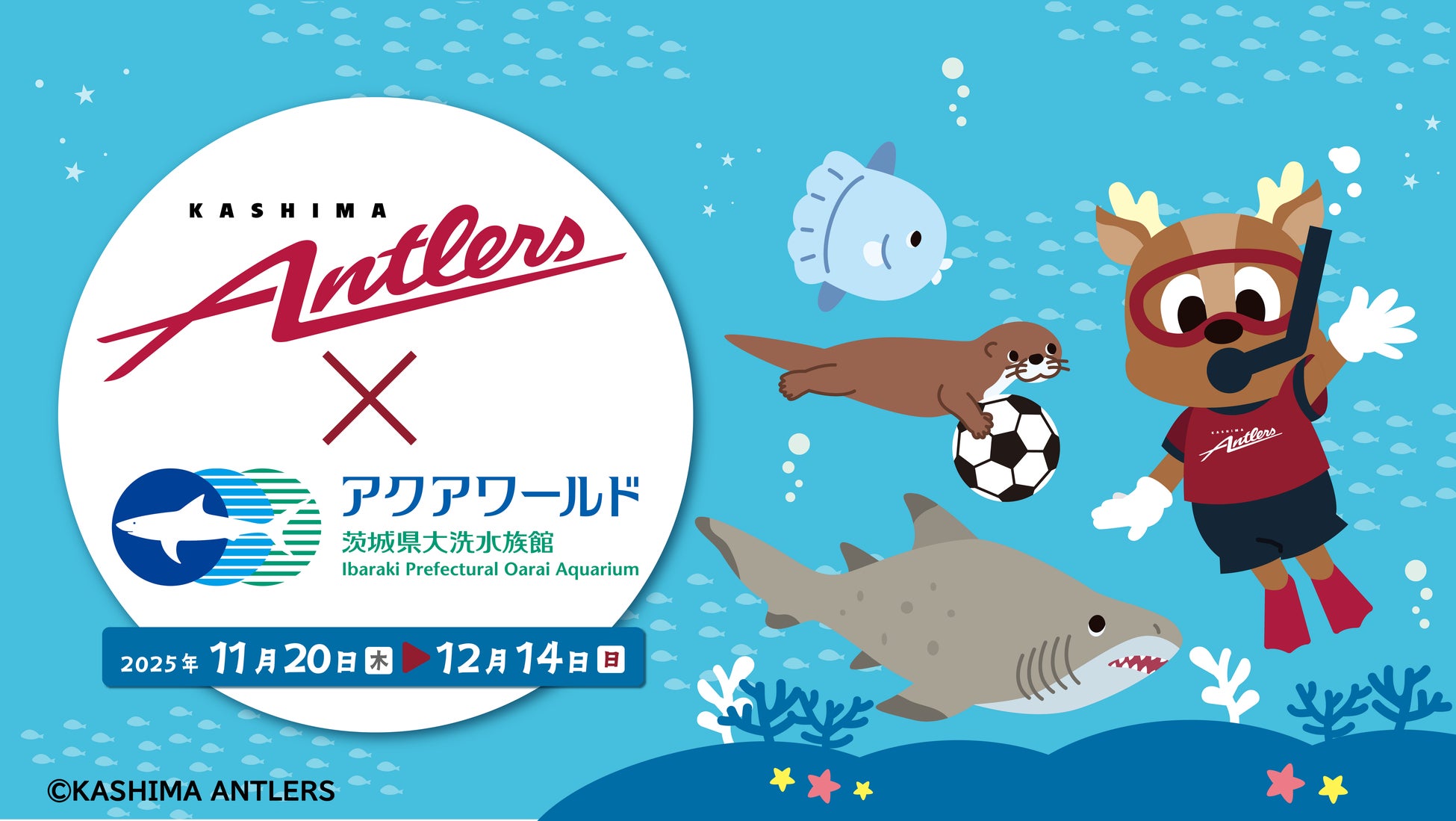 【鹿島アントラーズがアクアワールド・大洗に初上陸！】アクアワールド・大洗 × 鹿島アントラーズ スペシャルコラボイベント開催