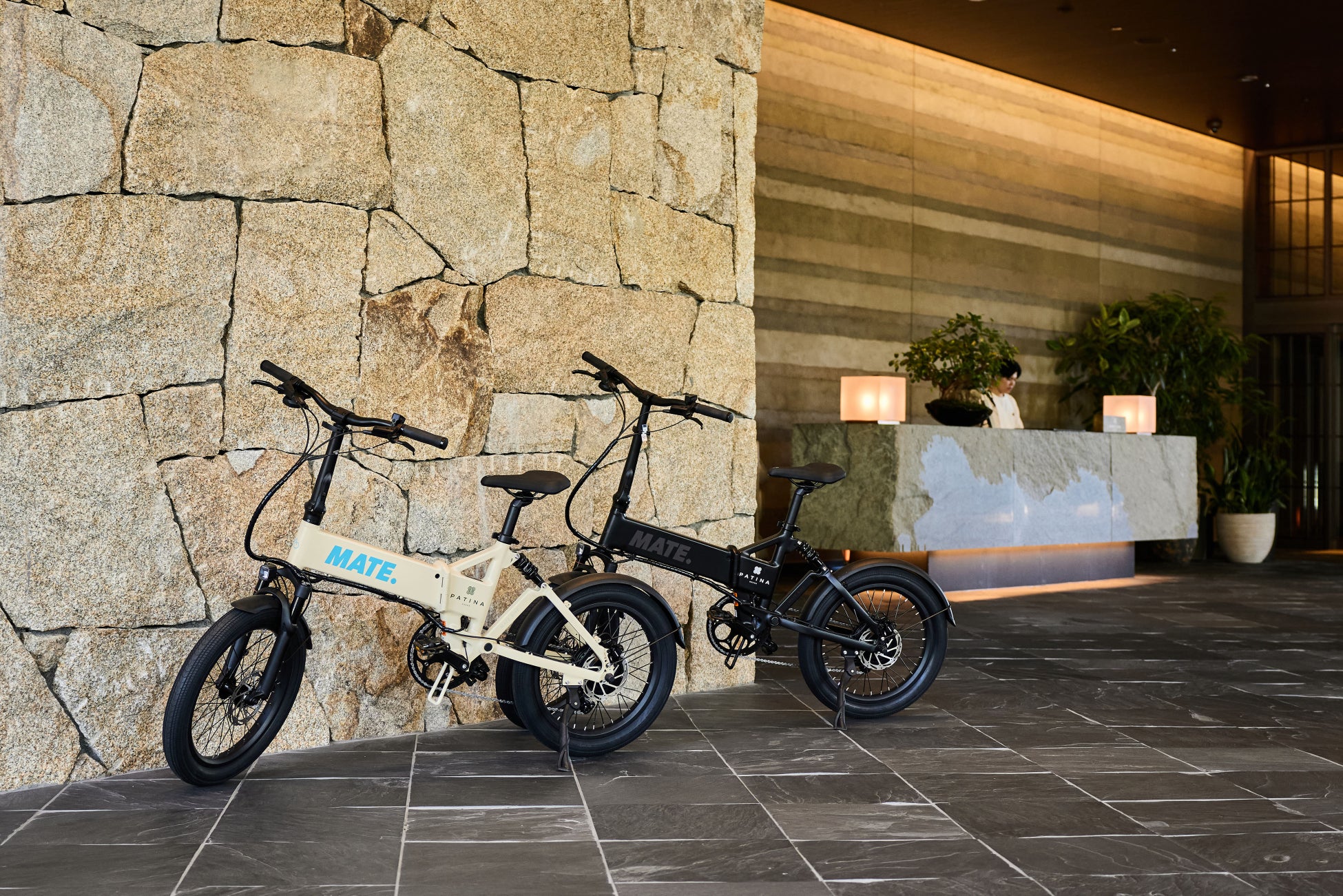 立命館大学「Ritsumeikan GLOBAL WEEK」　エンペラーペンギンの赤ちゃんを育てる飼育スタッフが登壇する特別講演　ペンギンの生態や多様性を楽しく学べるブース出展で参画します