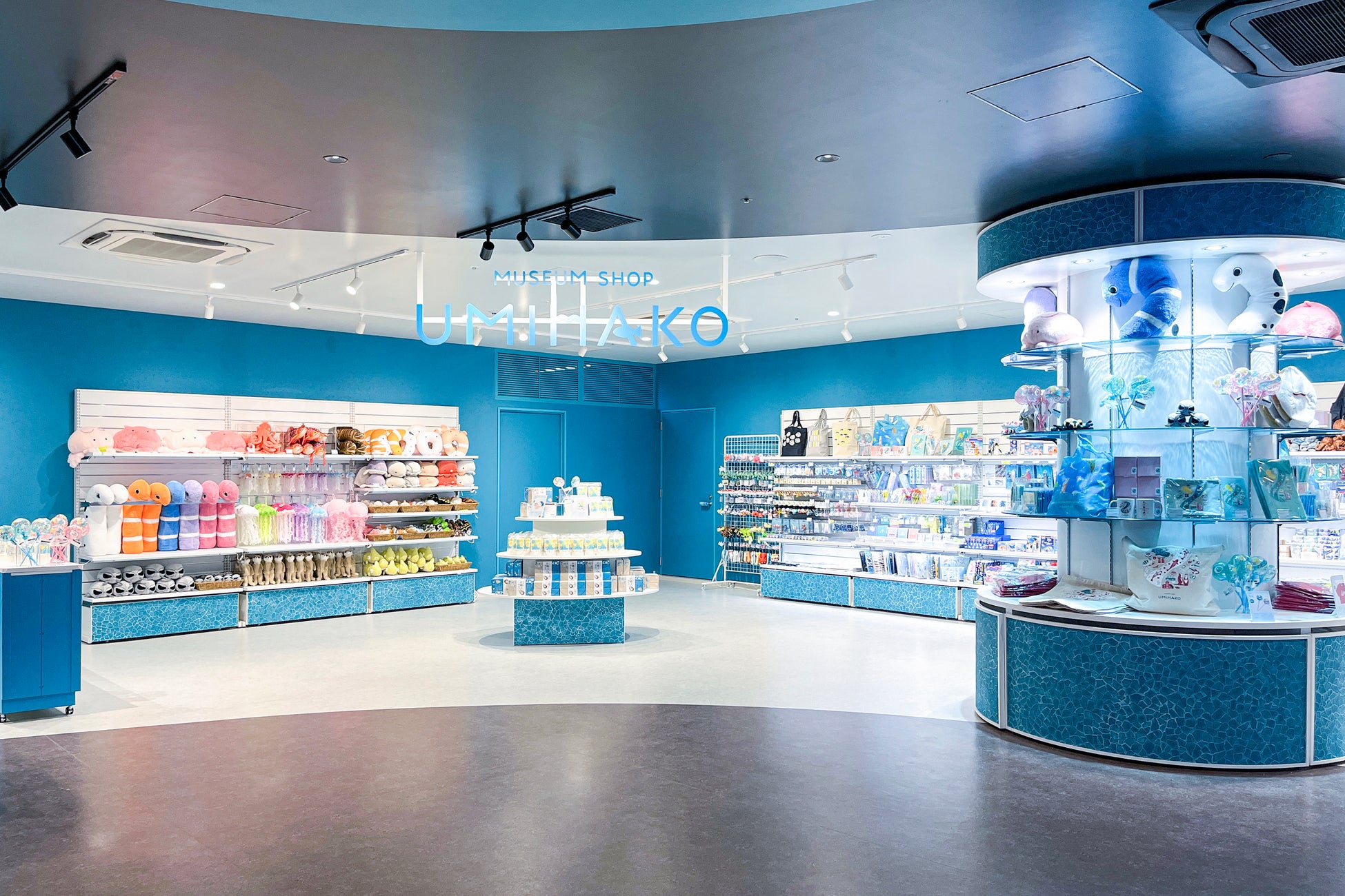 2025年10月31日(金)、広島基町の新生『パセーラ』に新規開業する「広島もとまち水族館」内にミュージアムショップとカフェがオープンします！