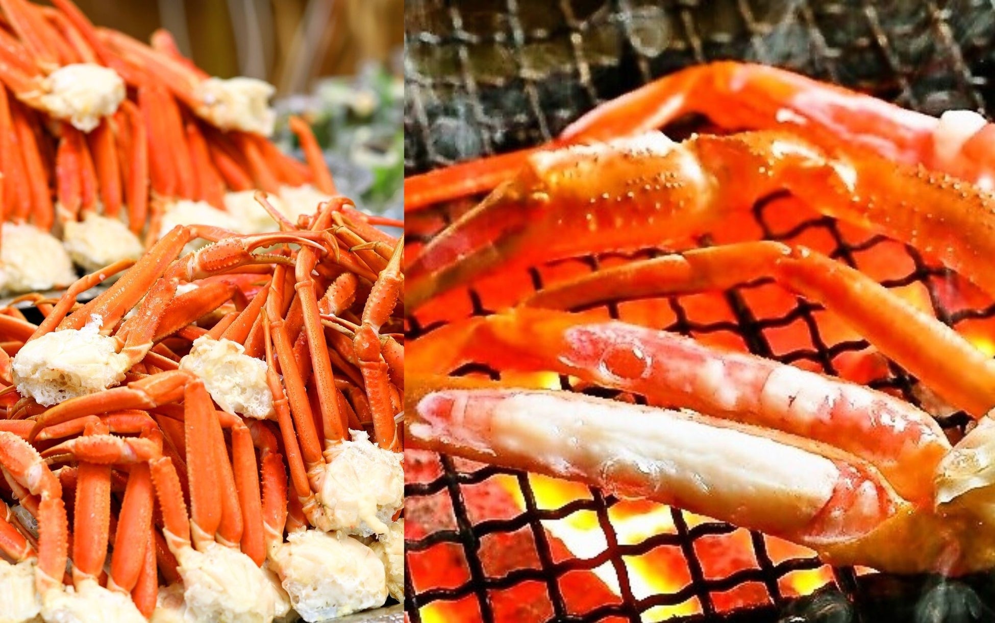 東京ディズニーランド（R）/ 東京ディズニーシー（R）「カレッジパスポート（期間限定）」販売と「春ディズニー！学生限定くじ」実施のお知らせ