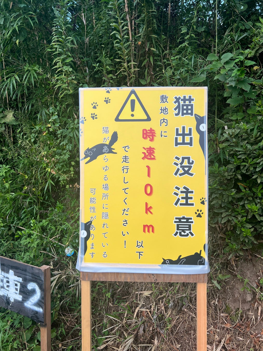 「ハローキティ 新幹線」の運行終了について