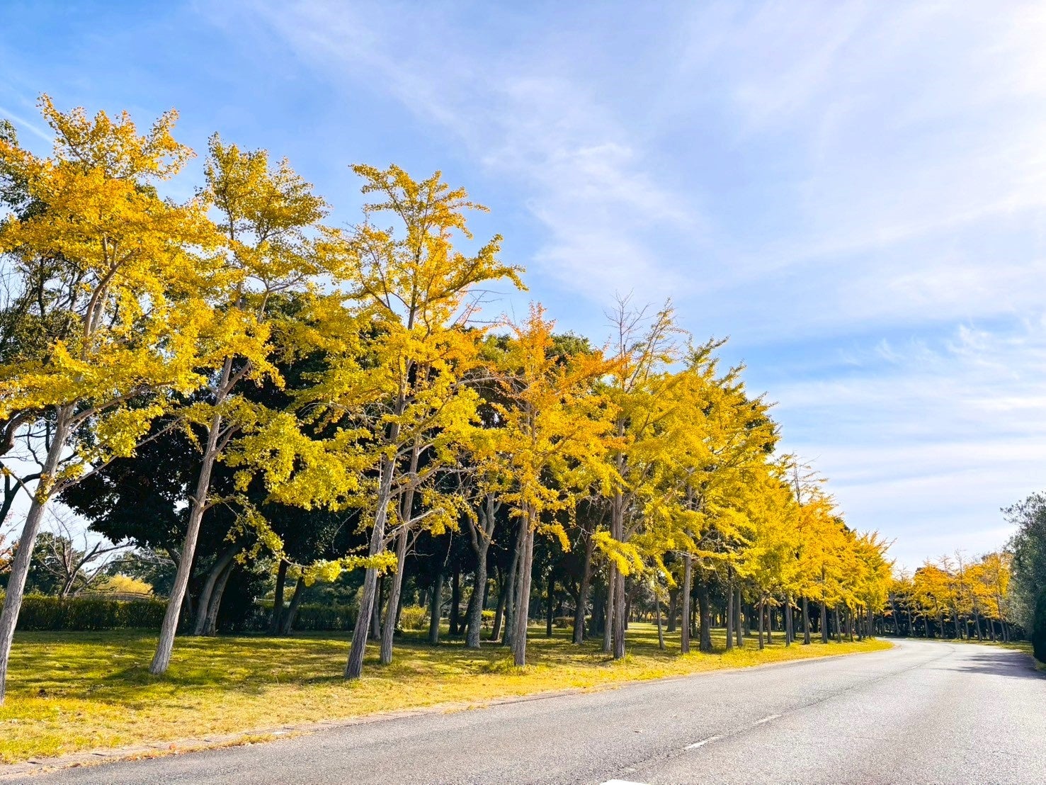 同時開催『 Statue Carnival 』(スタチューカーニバル)　大道芸博2025〜TOKYO stage again〜　ファンタジーあふれる晩秋の練馬城址公園にて入場無料！