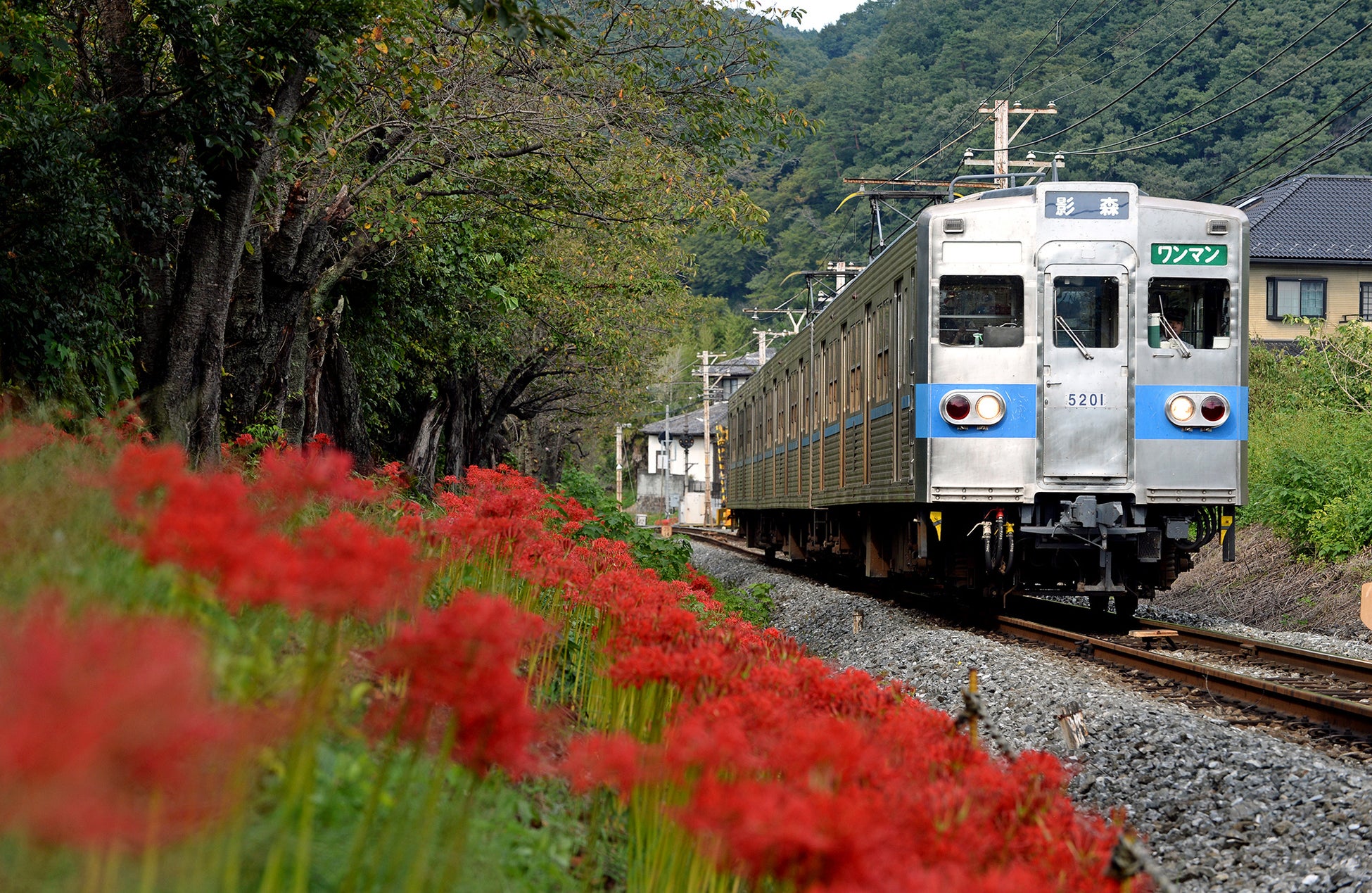 【ホテル日航姫路】クリスマスケーキを11月1日より予約受付開始