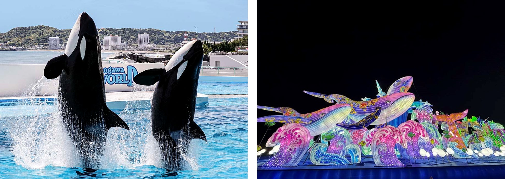 【鴨川シーワールド】東京ドイツ村「ウィンターイルミネーション」入園券付きプラン ～オルカ＆スマイル～