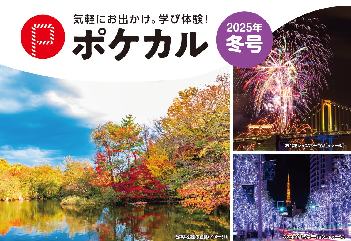 【鴨川シーワールド】東京ドイツ村「ウィンターイルミネーション」入園券付きプラン ～オルカ＆スマイル～