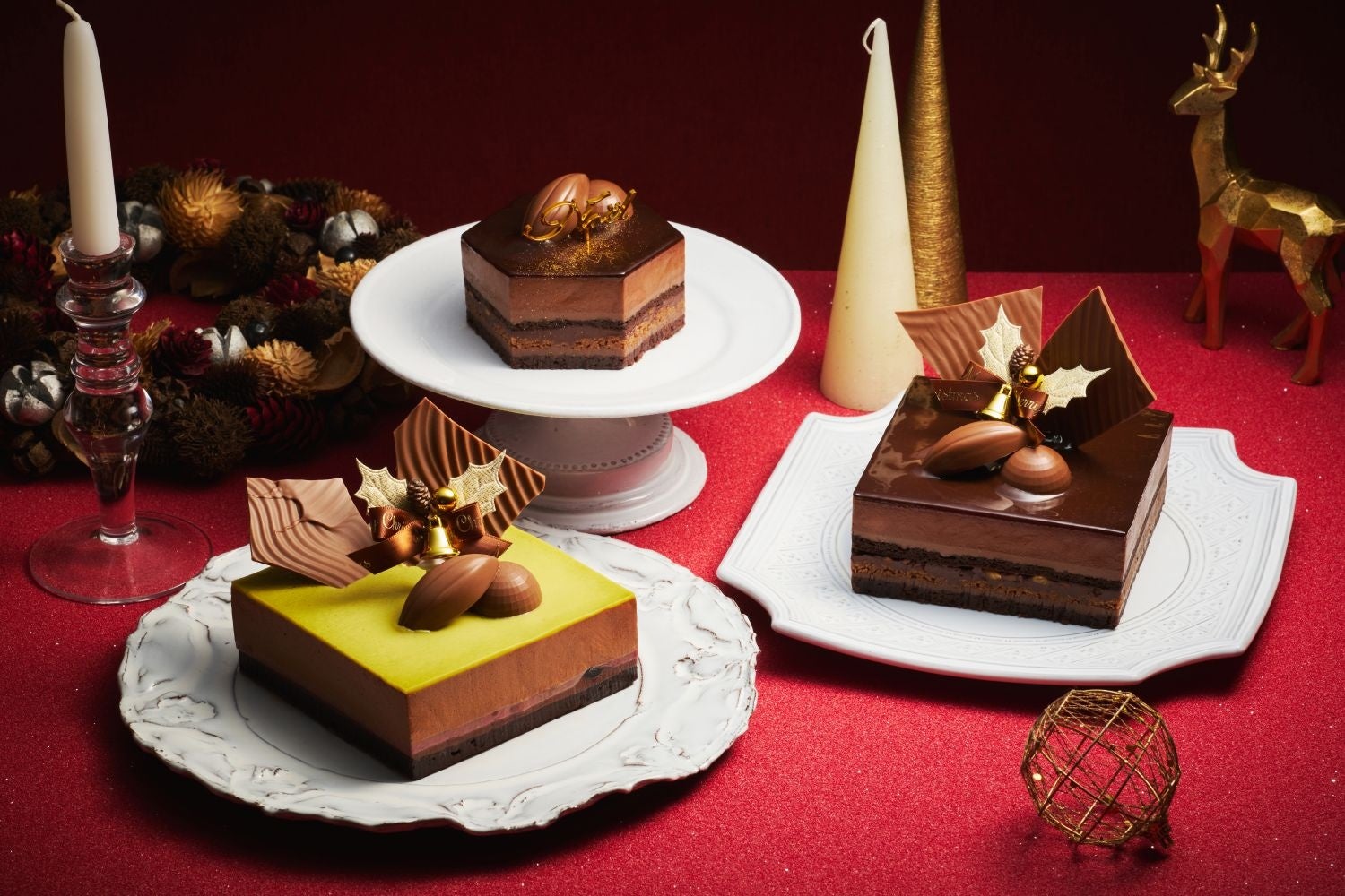 【BOSS E・ZO FUKUOKA】「ワクワクふれあい！もふもふ＆はちゅうるい 生きものフェスタ」開催！