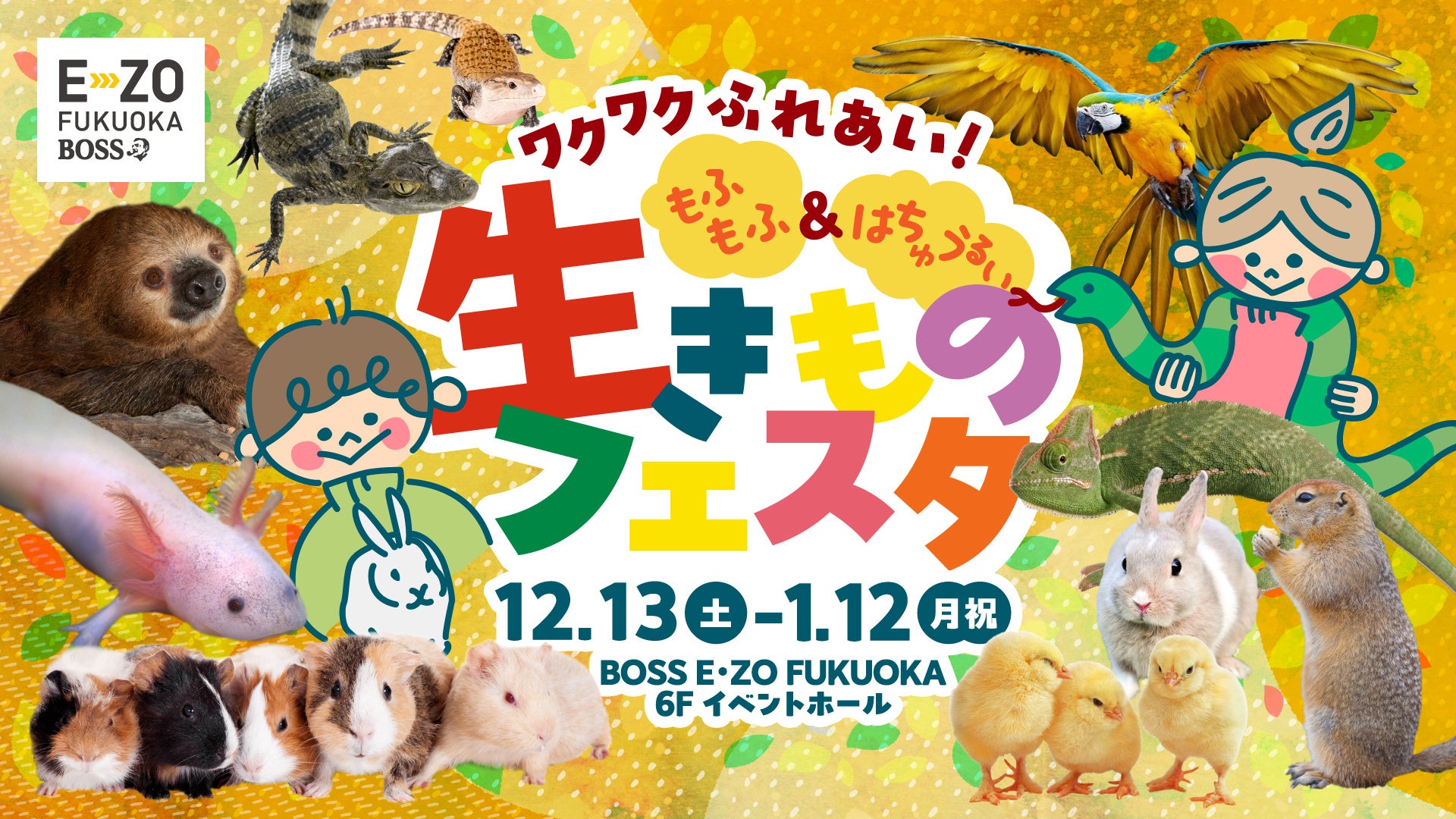 いつもの自分らしいスタイルで旅へ。あなたの想いを叶える、旅ワードローブの最後の１ピース。レディースブランド「THOMA」10月31日デビュー