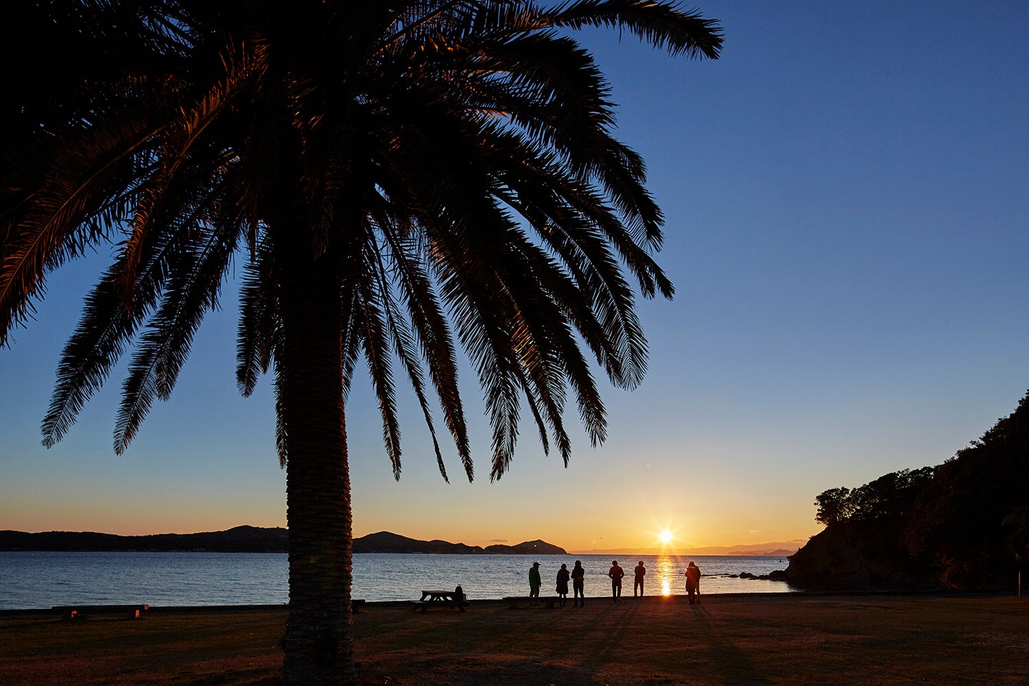 Trip.com、DMM.comが提供する旅行予約サイト「DMM旅行予約」と提携