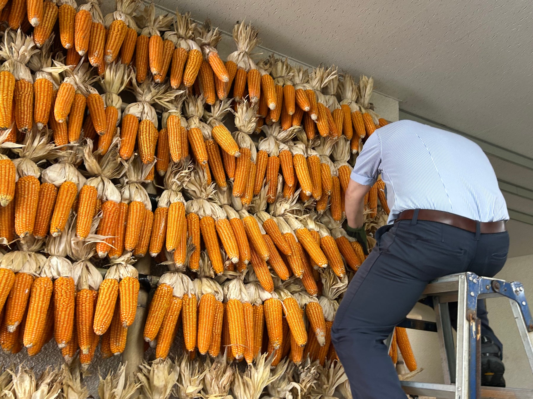 ベトジェット、A321neoを100機確定発注