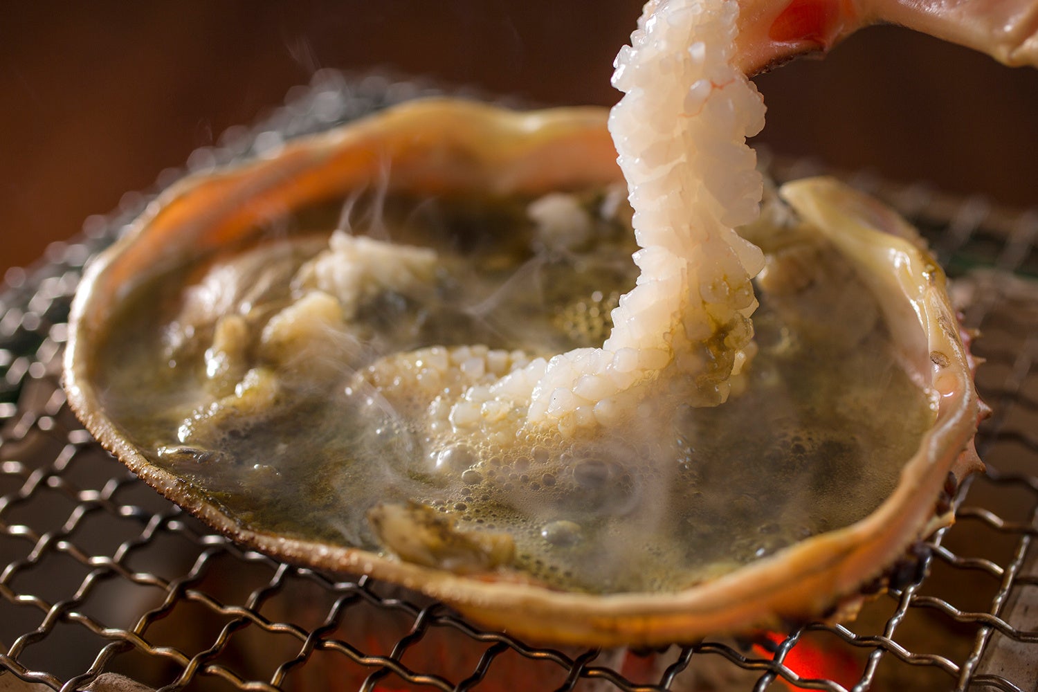 【福井県福井市】今年最大の満月「スーパームーン」、環が見えなくなる珍しい「土星」の観望会—11/5(水)福井駅西口恐竜広場で開催！