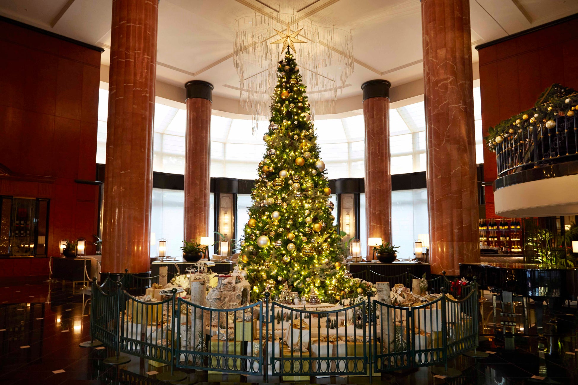 【海洋博公園】「美ら海通信11月号」発行！