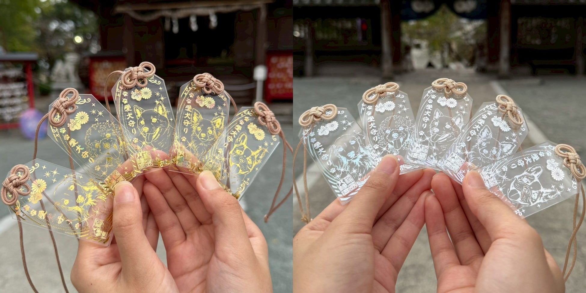 “ふるさと”を届け、“つながり”を育てるプロジェクト — KOKYO／SANUKI BASE これまでの活動総括 —