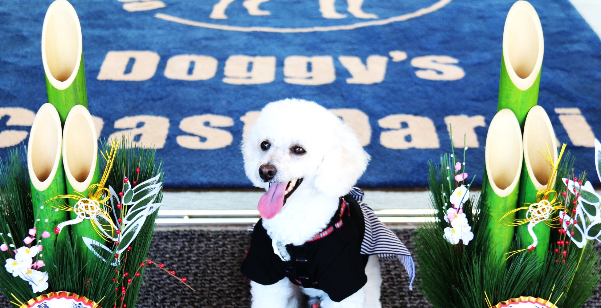 ORANGE WALK 2025×brightway「10年後も愛せる1足」が、こどもたちの明日を照らす