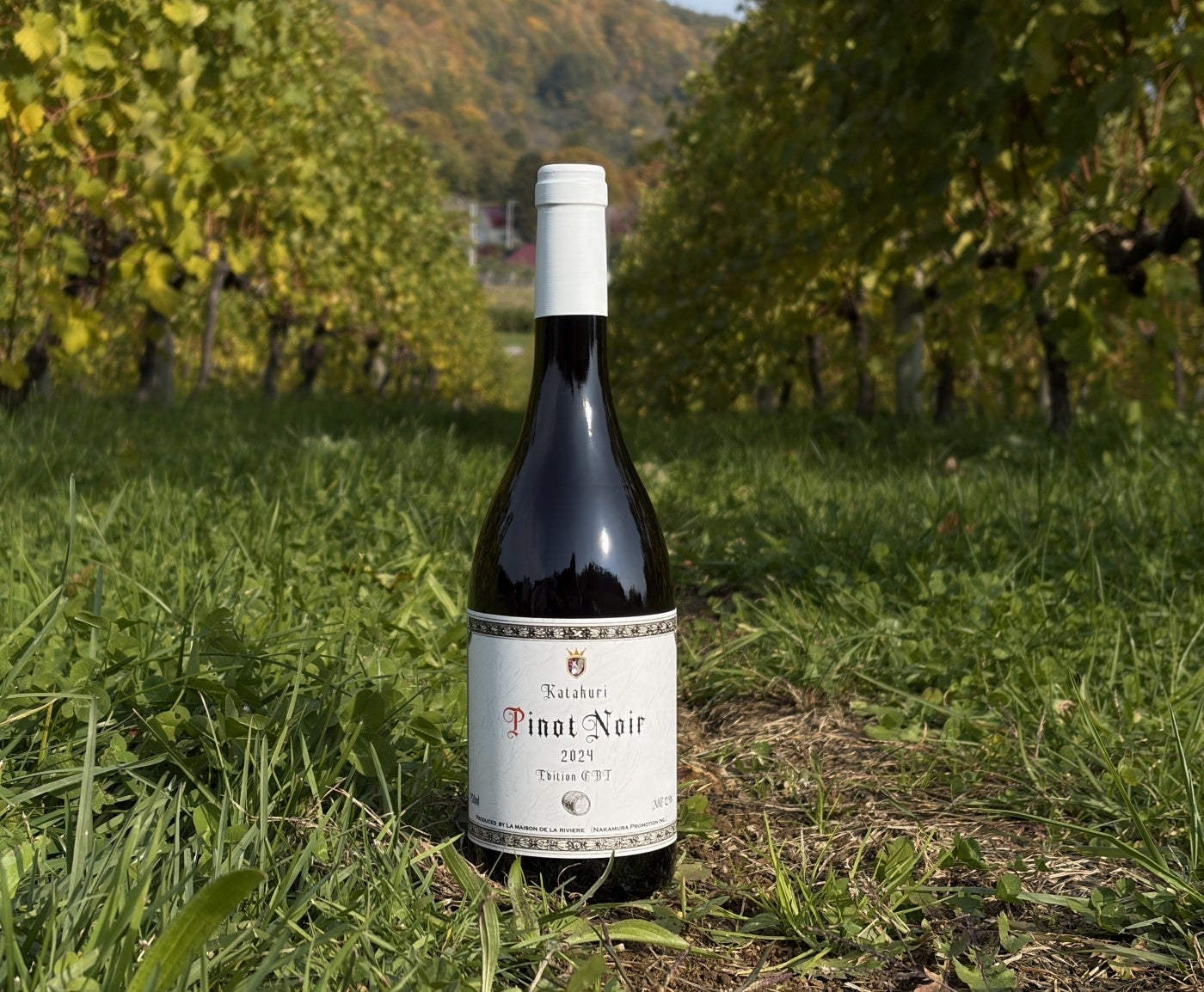 犬・猫服に「再帰性反射可変QRコード」装着して、南海トラフ大地震や迷子時にレーザー捜索可能！