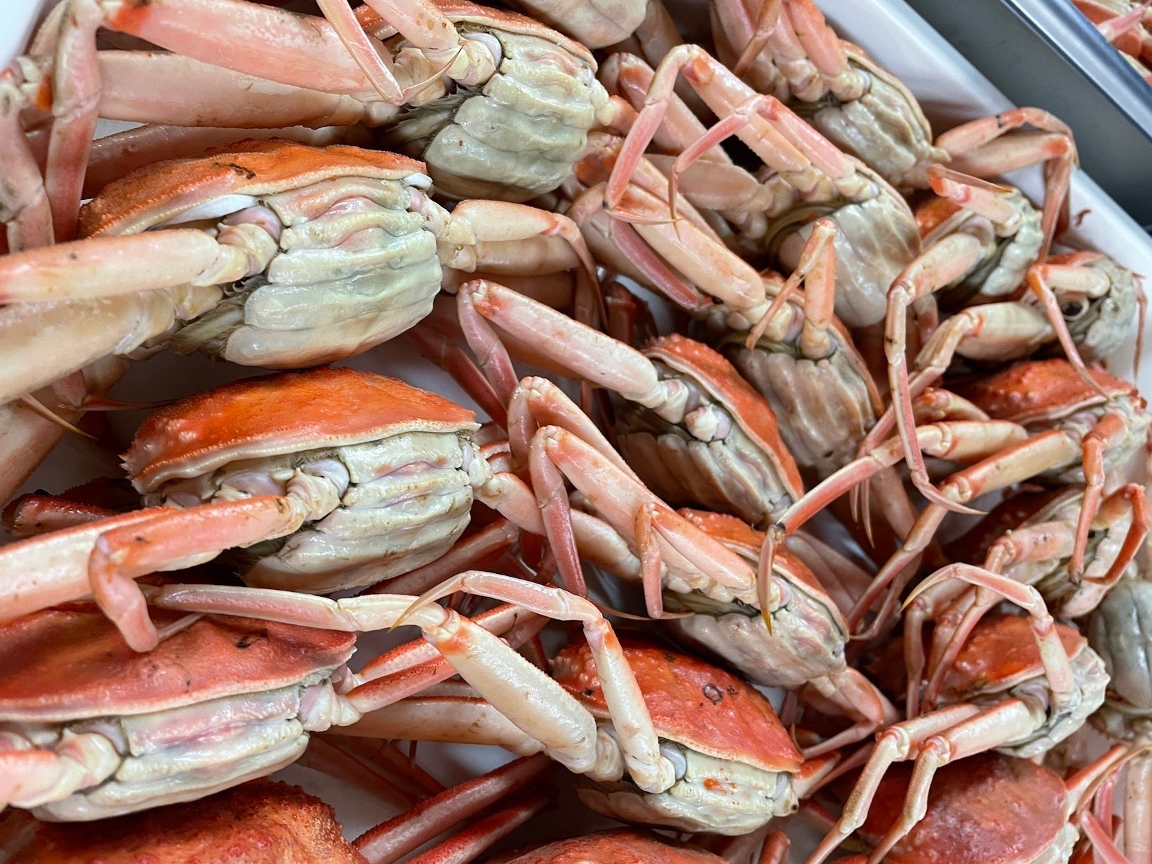 かたくり ピノ・ノワール エディション CBT 2024 ラ・メゾン・ド・ラ・リヴィエール 北海道とブルゴーニュを繋いだロマン