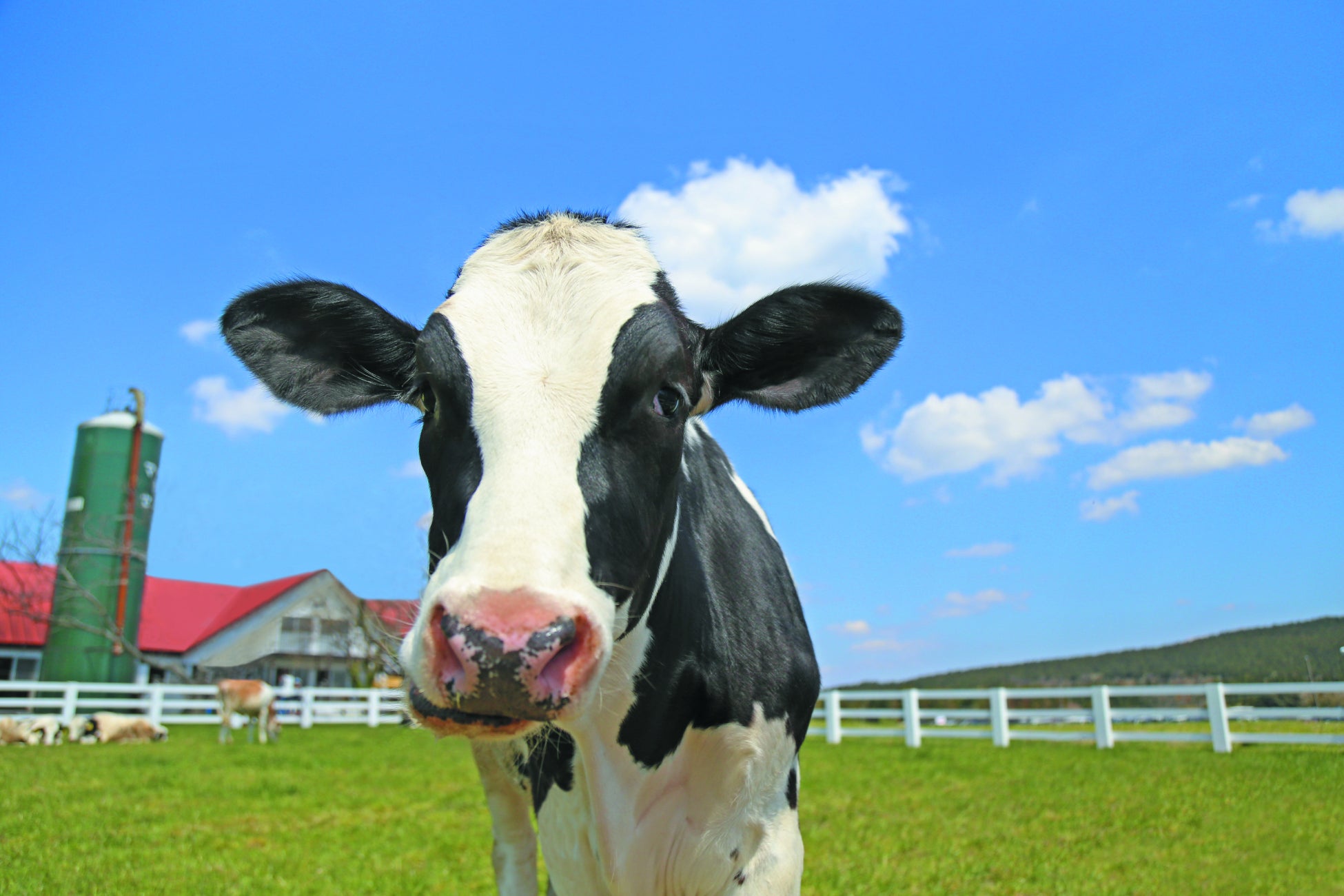 【星のや軽井沢】心身温まる冬の温泉滞在を提供開始