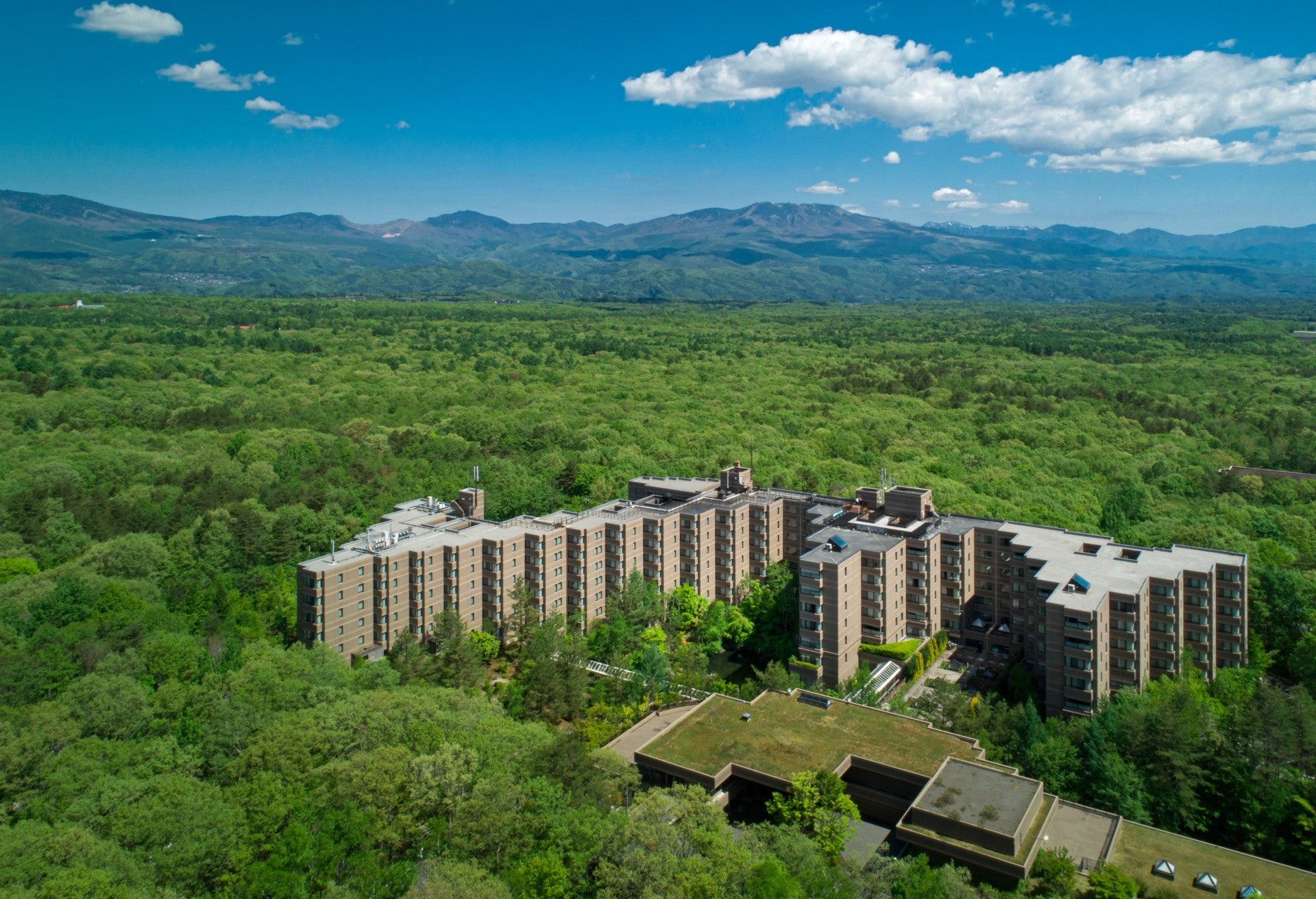 ホテルプラザ神戸「バイキングレストランSORA」、冬の味覚“ズワイガニ”食べ放題が登場！