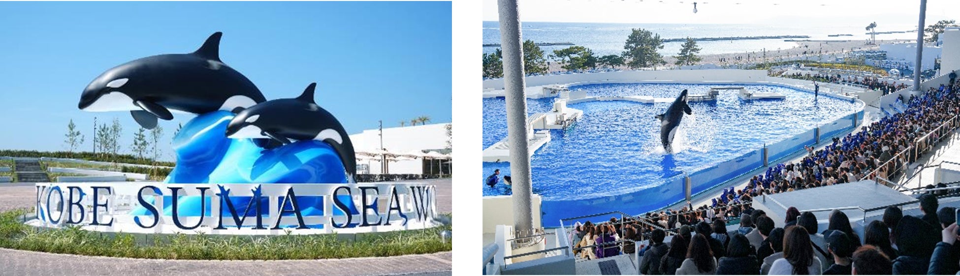 冬の金沢の香りを日本橋で、料亭「日本橋浅田」の贅沢正月 加賀料理の匠が贈る特別おせち＆蟹づくし会席