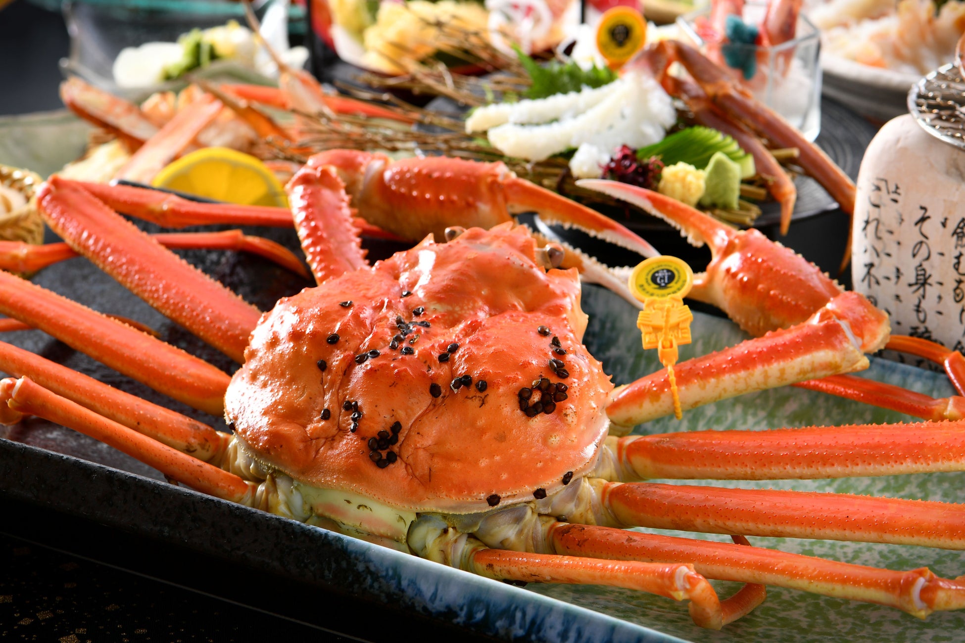 ハーモニーランドで初実施の点灯式をレポート！ハローキティが登場 女性が笑顔で過ごせる世の中を目指す「パープルリボン運動」『大観覧車ワンダーパノラマ パープルライトアップ』