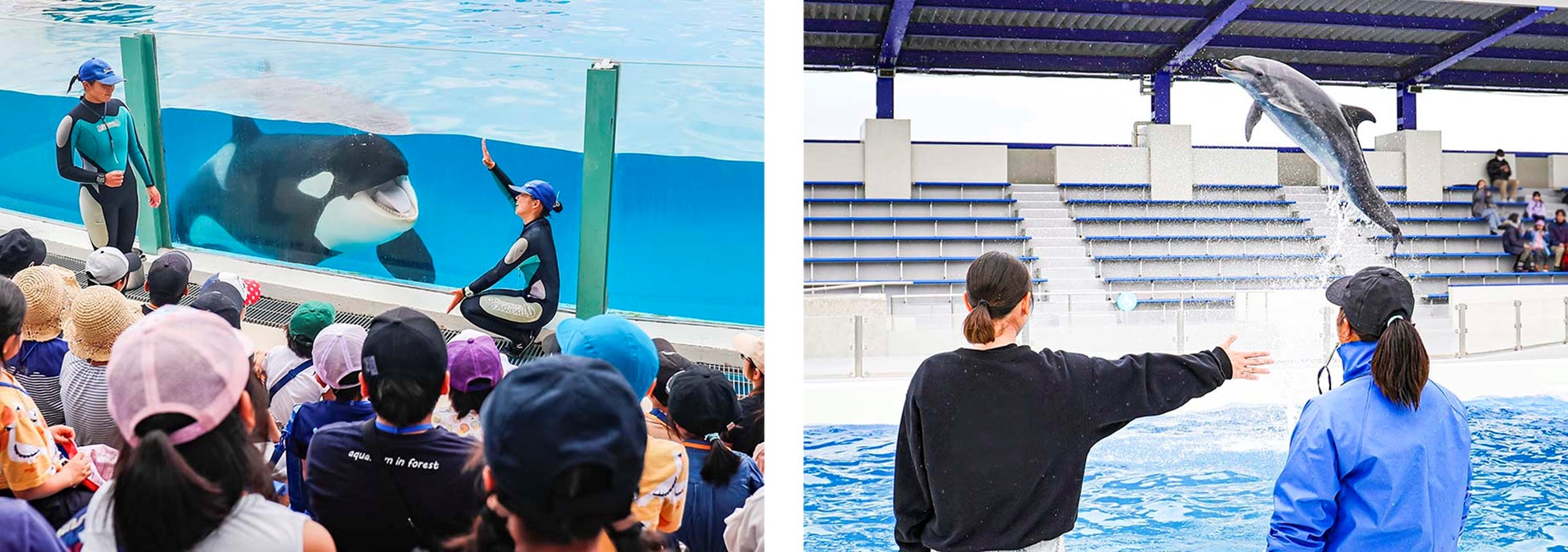 「リブマックスリゾート飛騨高山～臥龍の郷～」2025年11月7日（金）リブランドオープン！