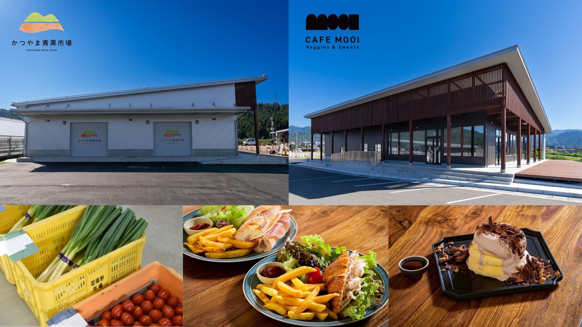 アマゾン川探検と南極の氷のフロンティア──ホーランド・アメリカ・ライン、2027–2028年南米・南極クルーズシーズンを発表