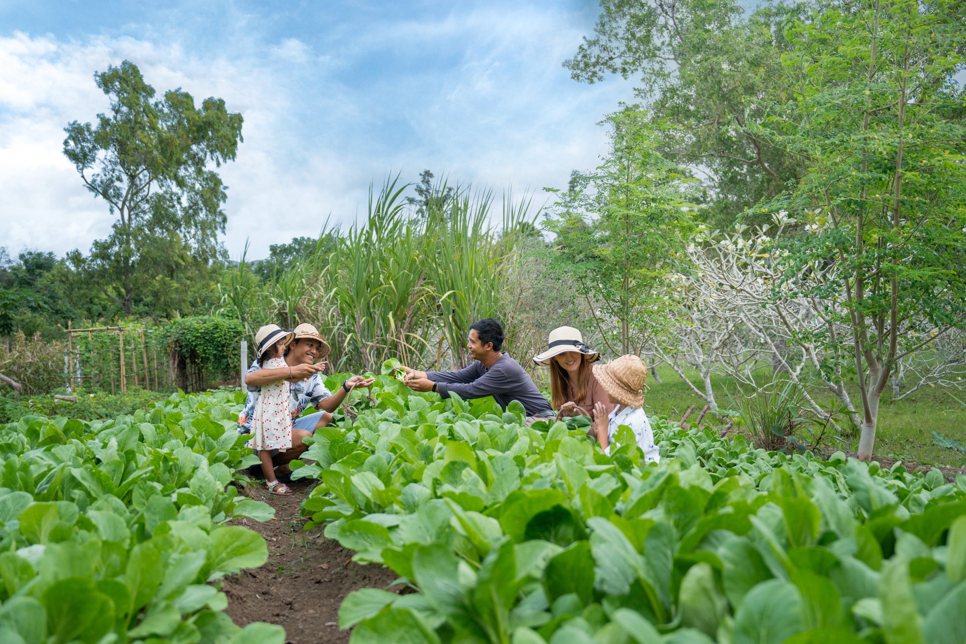 日本で唯一「桜えび」が水揚げされる駿河湾にて「桜えび」の2025年秋漁が開始｜初日の水揚げ量は約2.3トン！