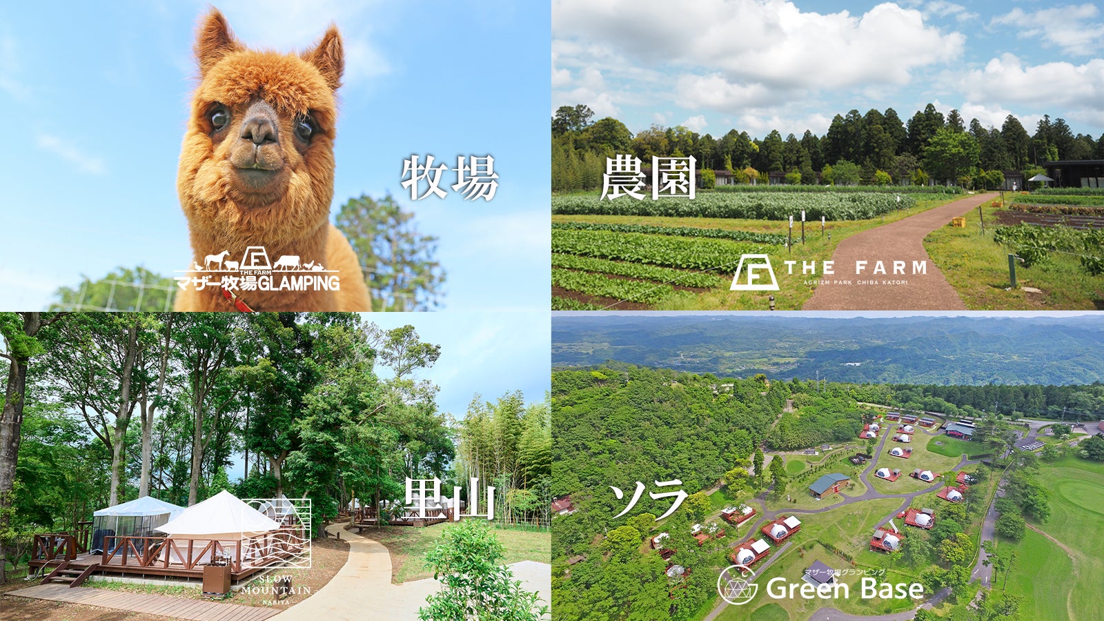 【横浜・八景島シーパラダイス】クリスマスシーズンにぴったり！シーパラならではのイルミネーションを毎夜お届け！『SEAPARADISE Christmas』