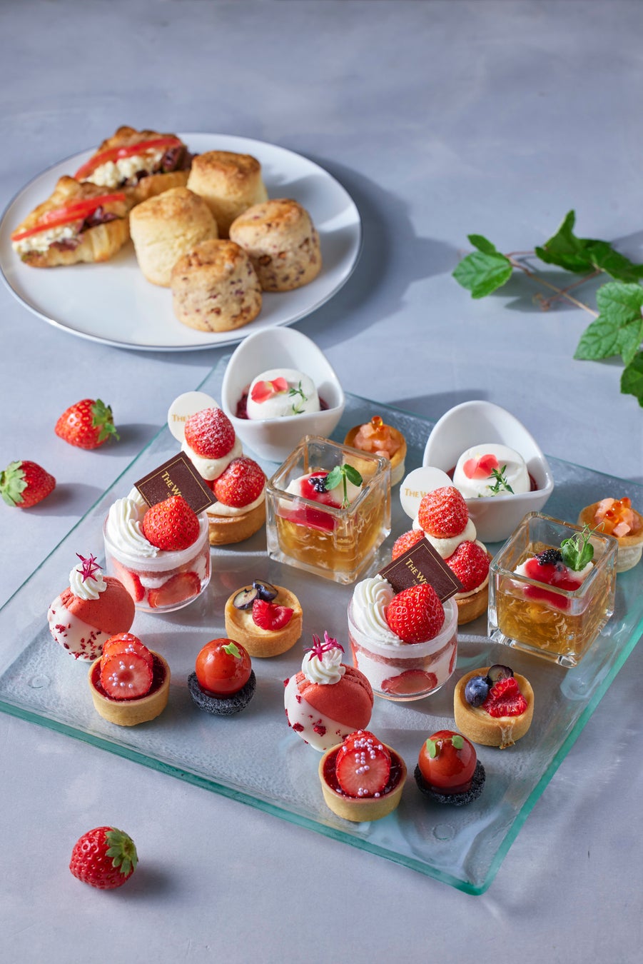 とろける至福”のチーズケーキ「とろ生バスチー」道の駅「たのうらら」で新登場