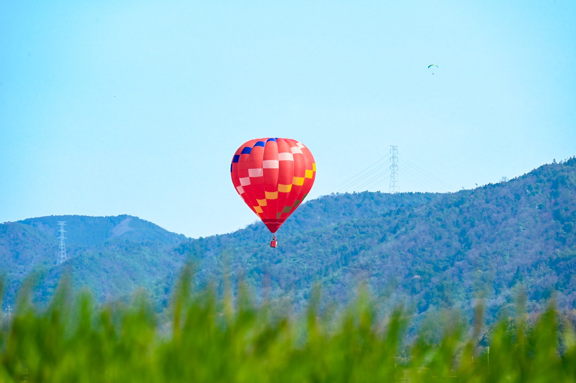 森林公園 最大の青空マルシェ 『NEW HOLIDAY』開催します（国営武蔵丘陵森林公園）