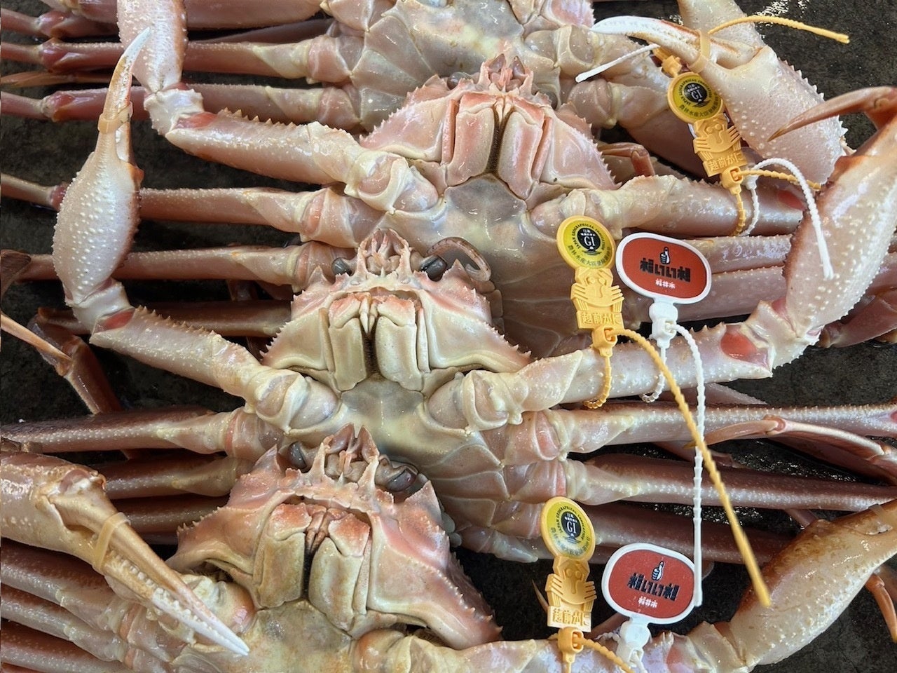 (お知らせ) 沖縄最大のIT・DX展示商談会「ResorTech EXPO 2025 in Okinawa」に初出展