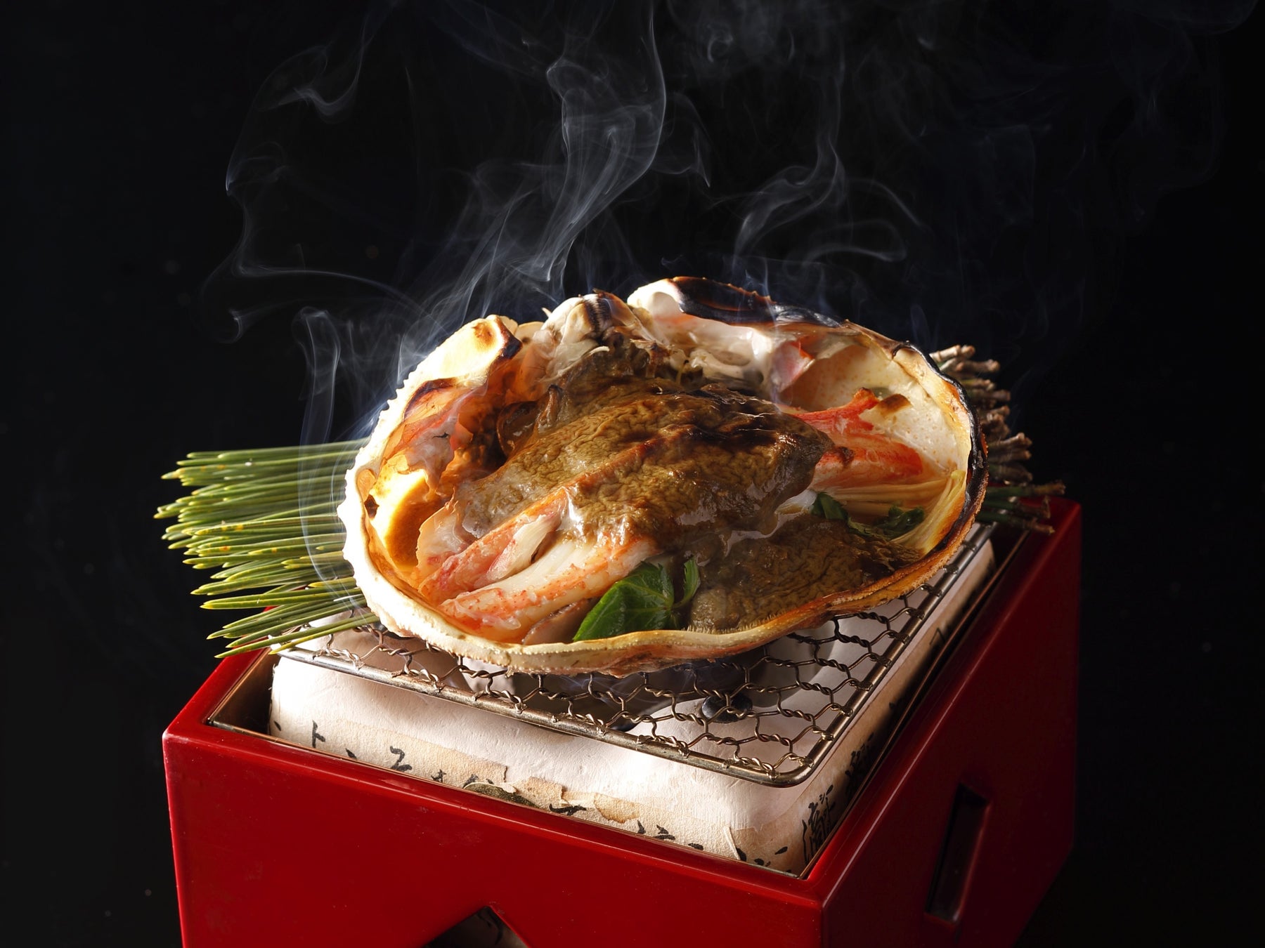 １２月６日、７日　海老名駅前で年に１度の鉄道ファミリーイベント「おだきゅう Family Fun フェスタ ２０２５」開催