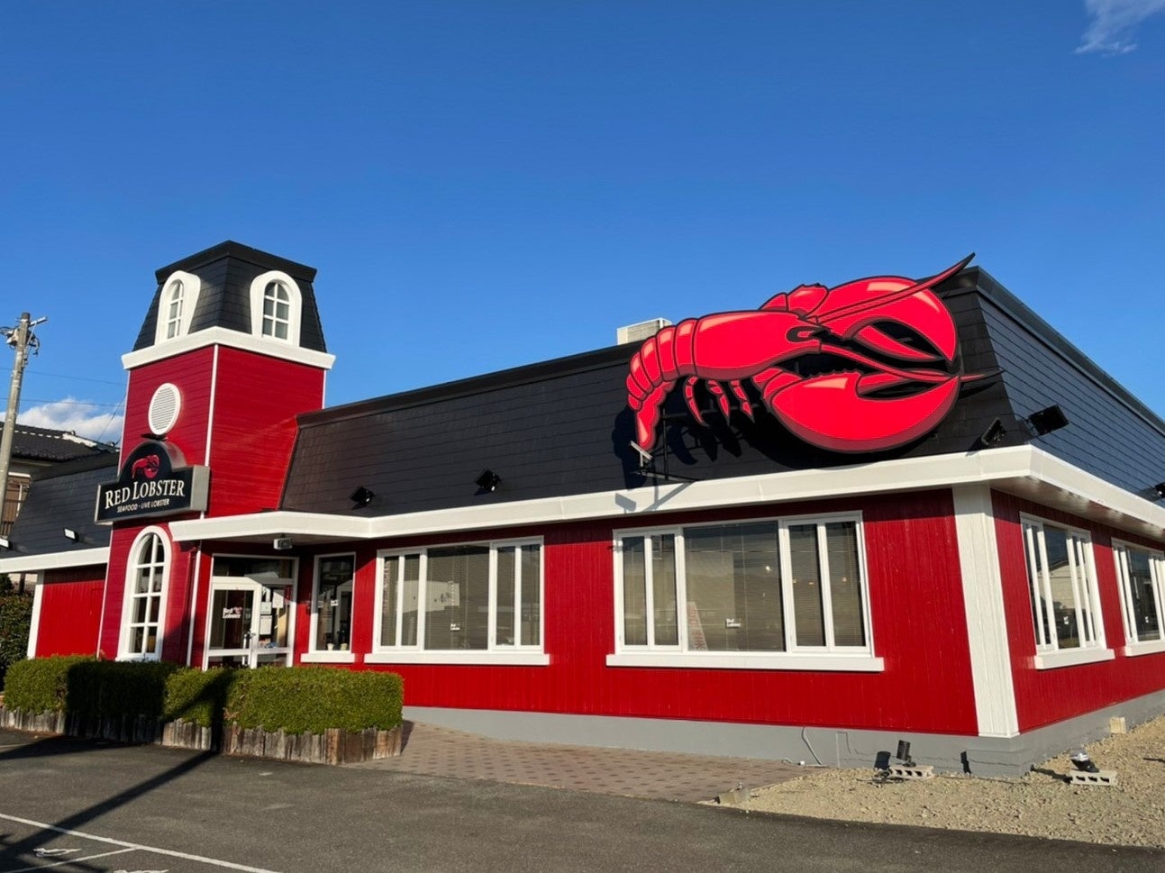 【11月21日（金）】祝・ボジョレー・ヌーヴォー解禁和飲会in塙町　開催決定！