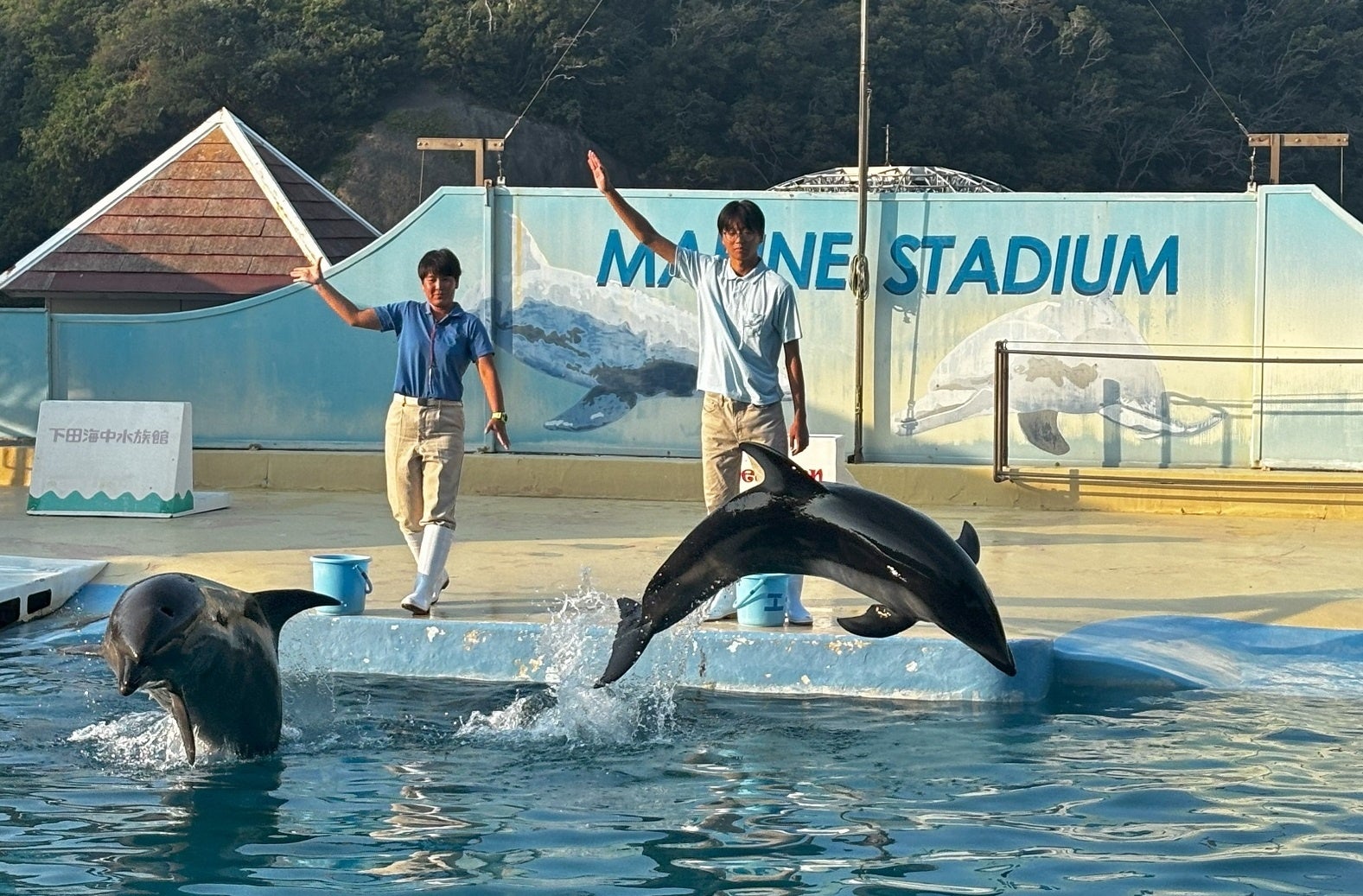 株式会社Luupと渋谷区、「S-SAP 協定」を締結