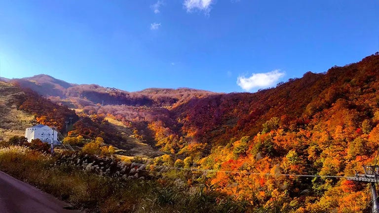 お茶と和菓子で五感をひらく、全室温泉付デザイナーズホテル「KÚON 箱根強羅」が11月8日に開業