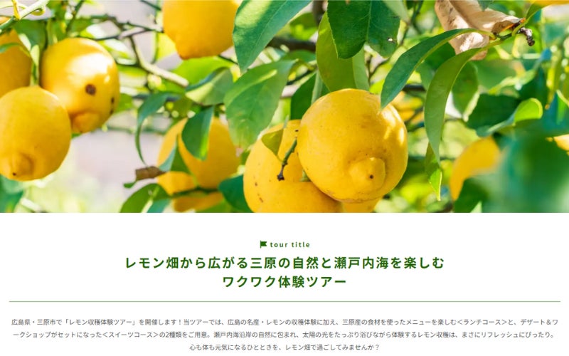 和歌山県 古座川町平井地区の地域資源・ゆずを使用した食・人に触れる体験プログラム「結びビト～ゆずが繋ぐふるさとで倉岡 有美さんに学ぶ温活リトリート～」提供開始【メルキュール和歌山串本リゾート& スパ】