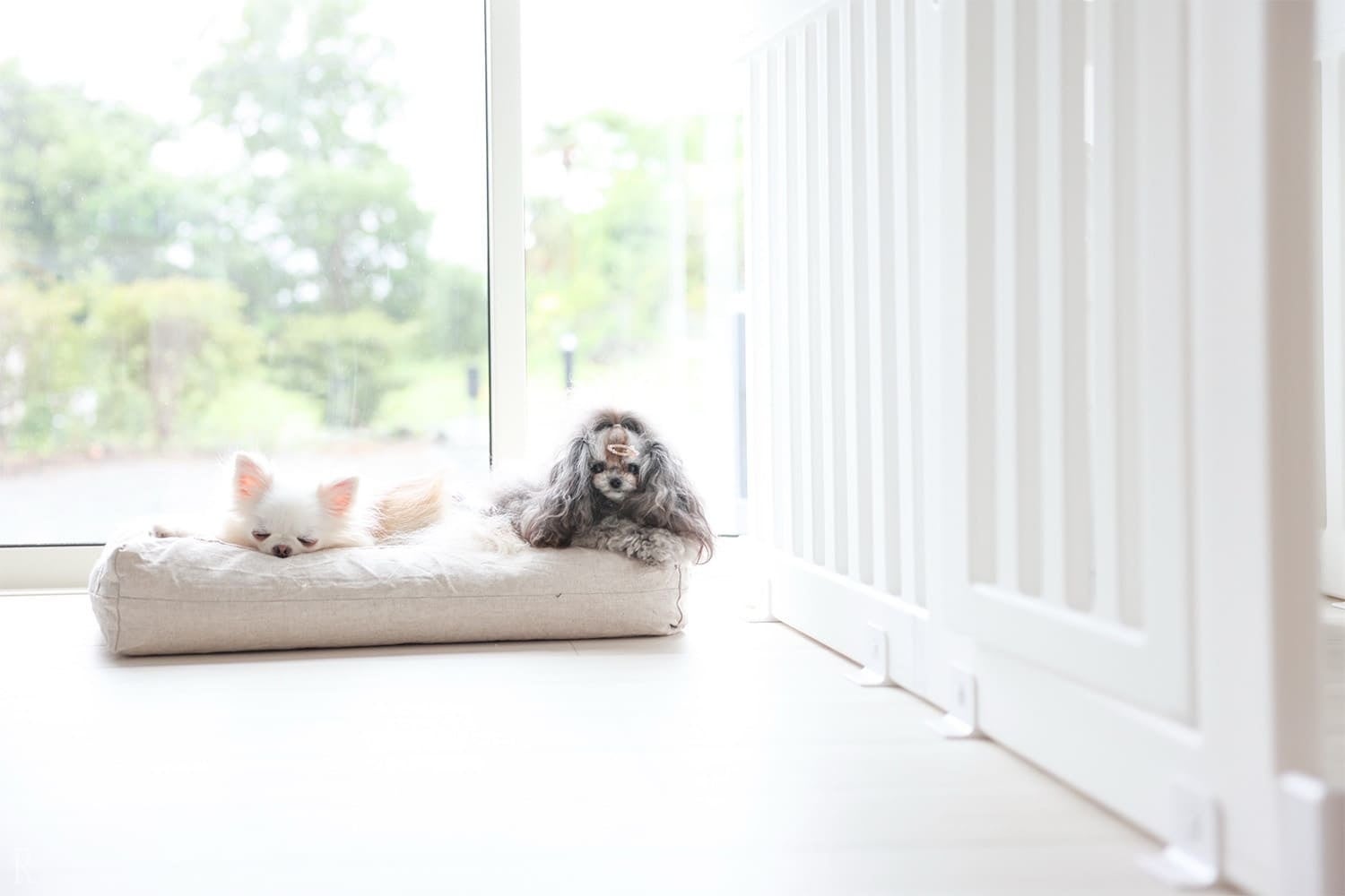 熱海のリアル観光地が舞台！フォートナイト最速クリアタイムを競う、eスポーツ大会「ACAO TREASURE SURVIVAL SUPPORTED by DELTA CUP」