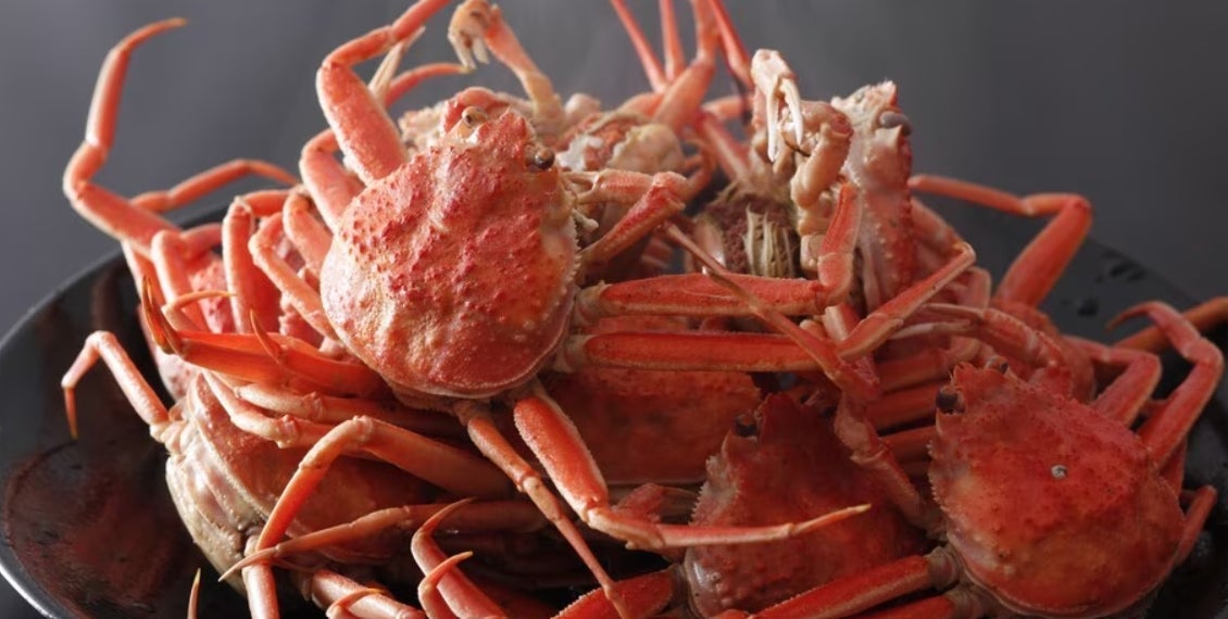 「こわくな～いオバケやしき」新宿の戦前に建てられた旧校舎で開催。「東京おもちゃまつり」で親子で楽しいオバケ体験。保育士やデザイナーを中心としたおもちゃコンサルタントたちが遊びの工夫凝らす。