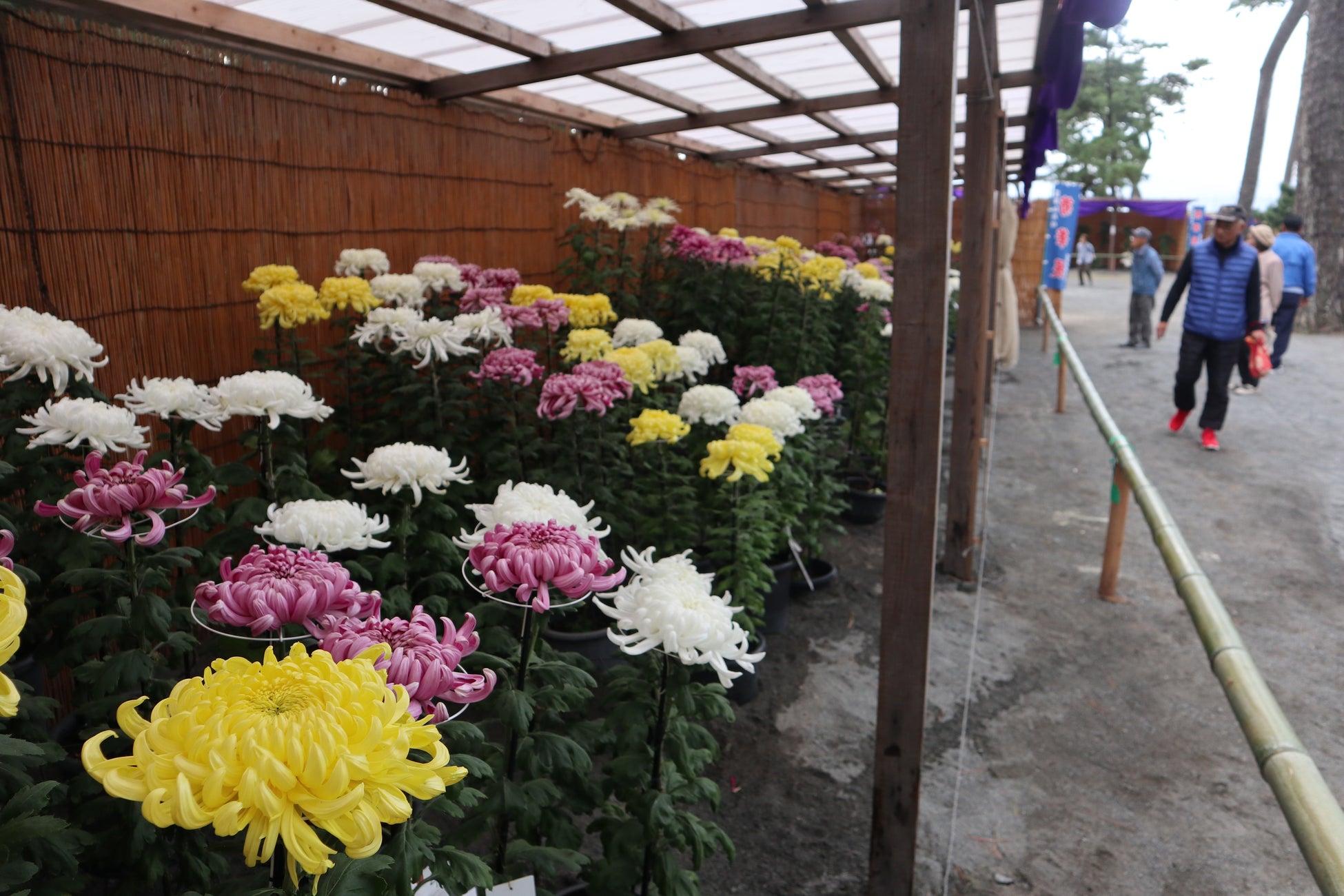 【11/23（日）】ボジョレー・ヌーヴォー解禁を祝う一夜。農園リゾートTHE FARMでワイン4種飲み比べ＆JAZZ生演奏「WINE JAZZ NIGHT 2025」開催