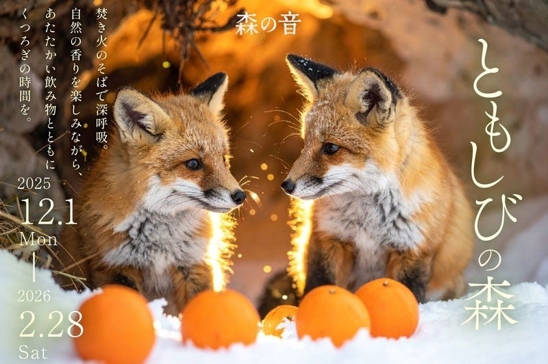 知多の魚と割烹温泉宿 佐宗が手がける新ブランド『知多宗庵』誕生― 職人の魂を宿す“本物の胡麻豆腐”を全国へ ―