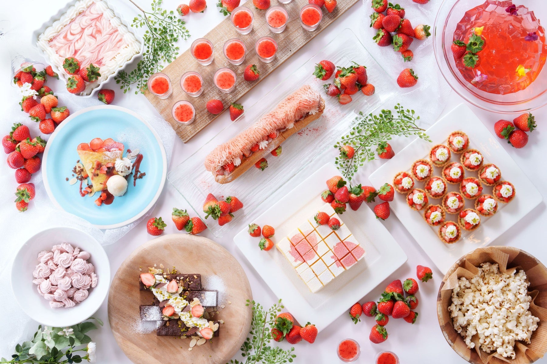 西川株式会社 × 花菜ガーデン。2025年9月22日(土)〜24日(月・振)の3日間、神奈川県立 花と緑のふれあいセンター『花菜ガーデン』で〈nishikawaコラボFes.〉を開催！