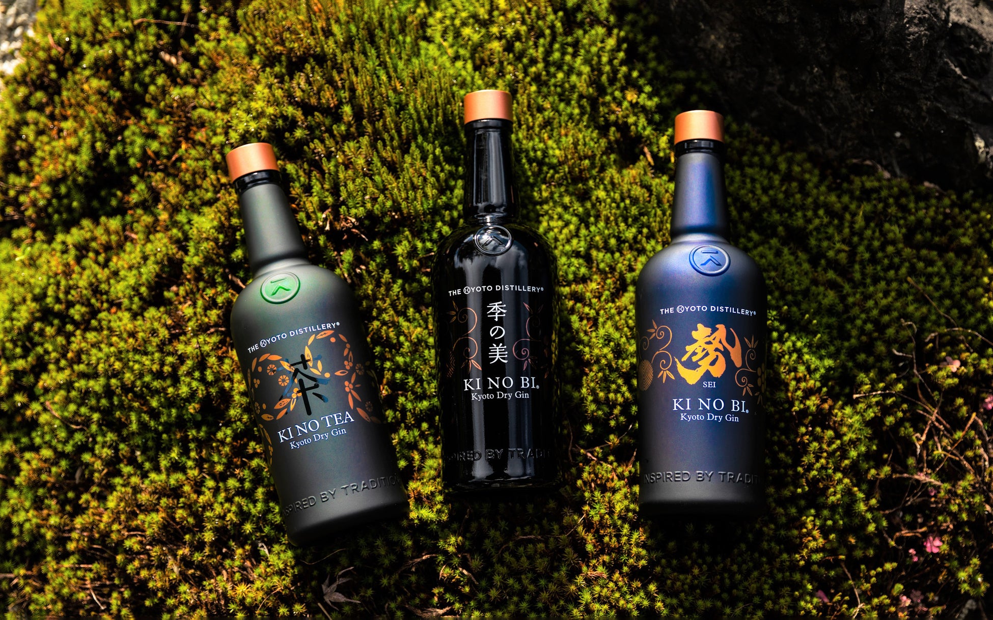 11月1日「犬の日」記念！ 「休日いぬ部」での「Rakuten STAY VILLA 日光」宿泊体験レポート公開に合わせて、お得な宿泊プランの販売開始