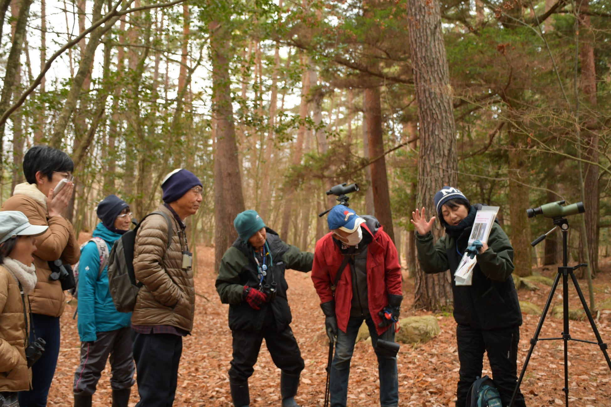 【期間限定】紅葉の穴場スポット・岩屋堂公園で「牡蠣×紅葉×BBQ」を満喫!〜ライトアップされた紅葉を眺めながら、牡蠣のガンガン焼きと持ち込みBBQを楽しむ秋の贅沢体験