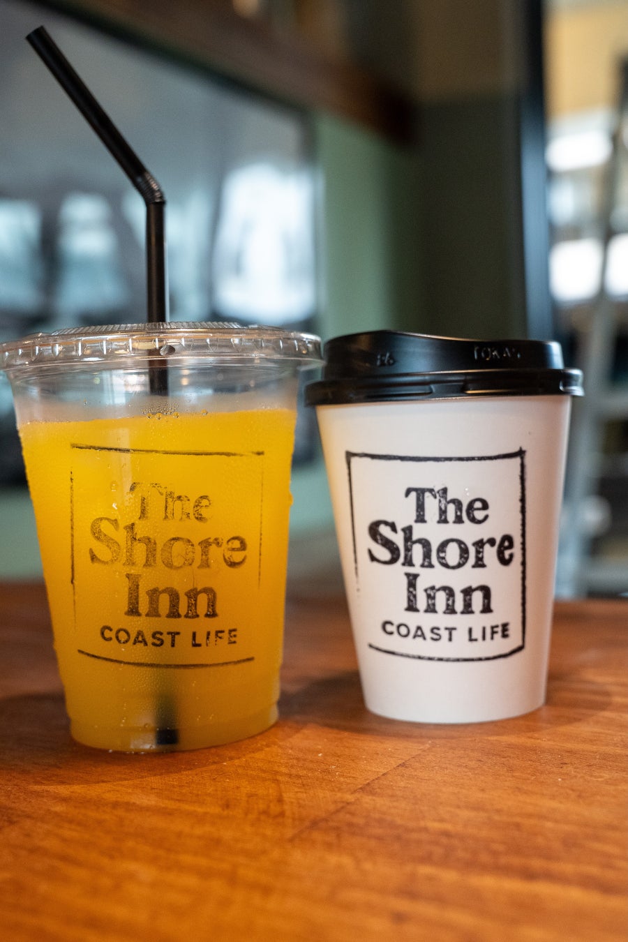 周防大島の宝物を未来へつなぐ！ 海と森を守る「周防大島の環境保護を考えるイベント」を開催