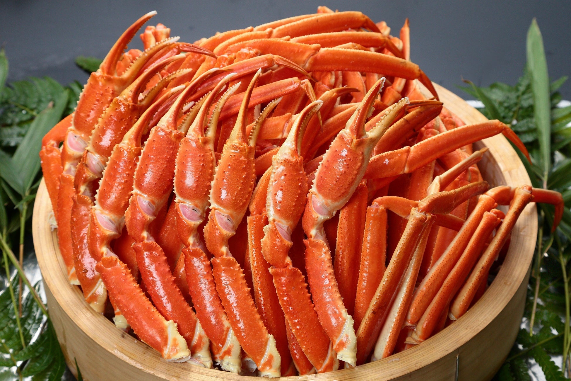 【大分県豊後高田市】11月29日（土）　、 30日（日）に「焚き火カフェ」を開催！